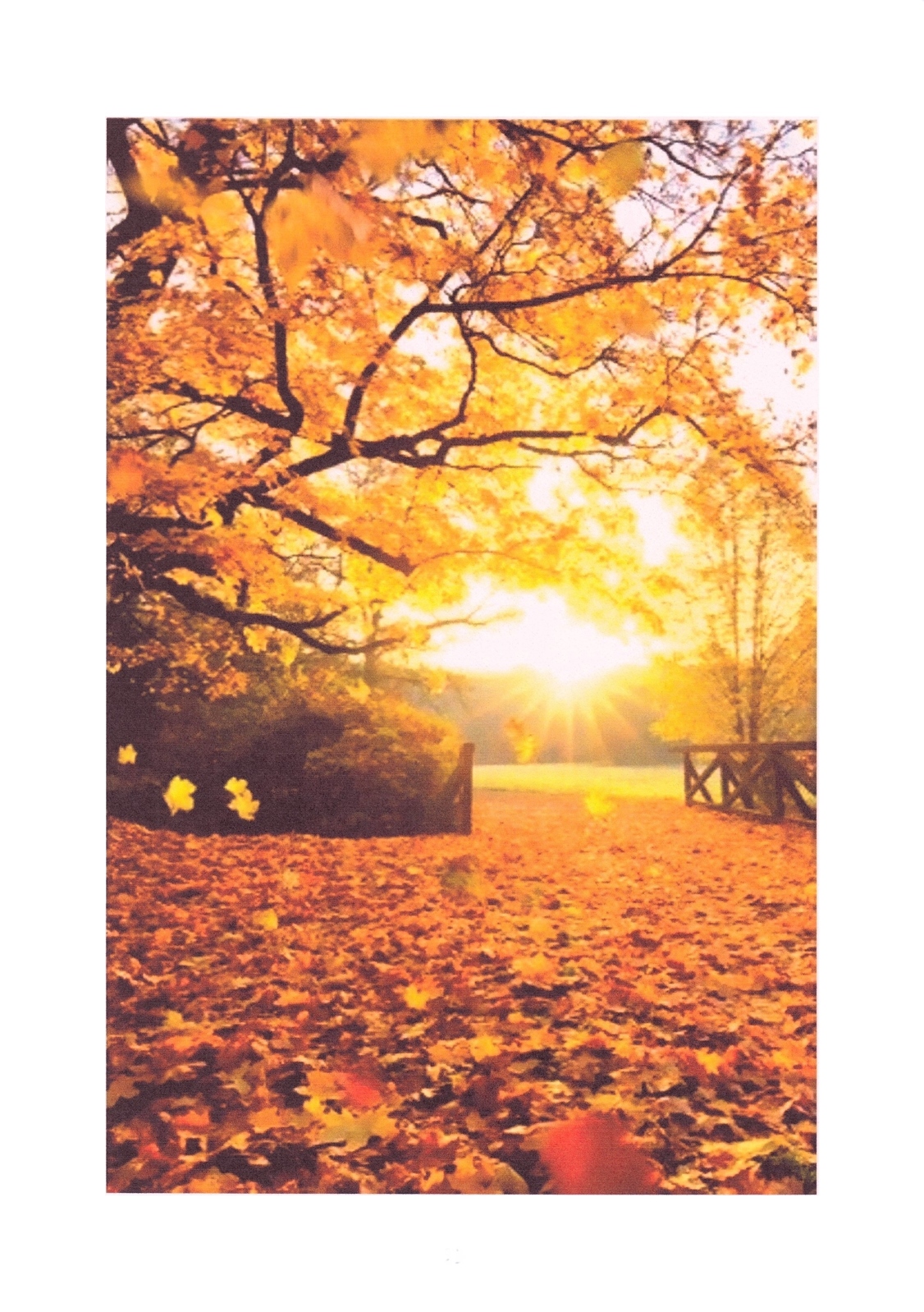 herfstkleuren